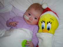 hypoplastic left heart syndrome, congenital heart disease